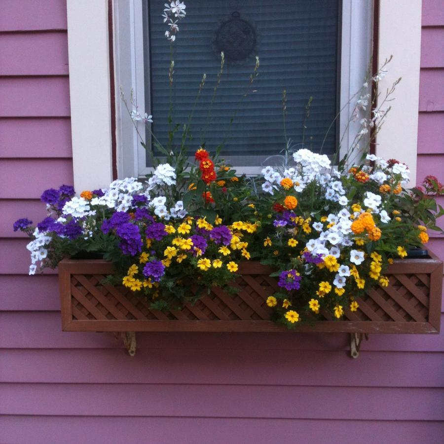 Rose & Thistle Bed & Breakfast Bed & Breakfast Cooperstown Exterior photo